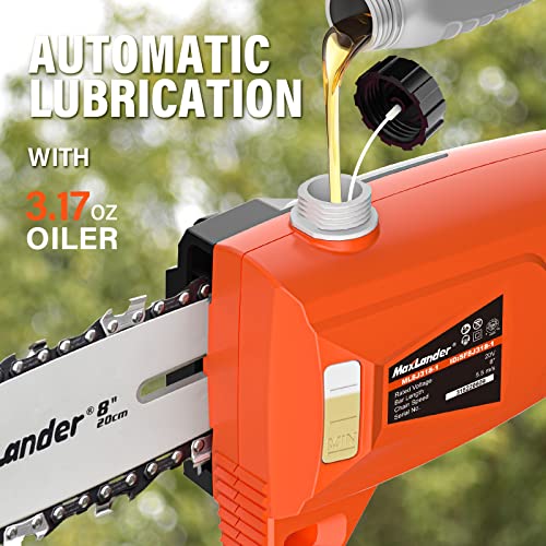 Аккумуляторная телескопическая – обзор и цена Pole Saw Cordless